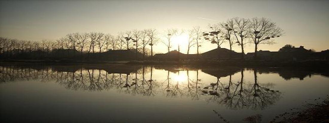 Le Lac Tranquille COMBOURG